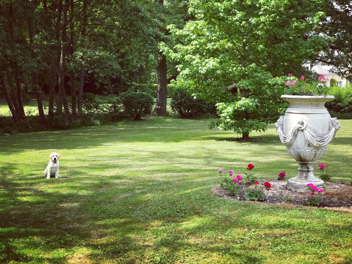 Chambre D'Hote Manoir De Clairbois Larcay Exteriér fotografie